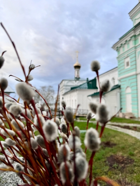 Вход Господа в Иерусалим или Вербное воскресение.